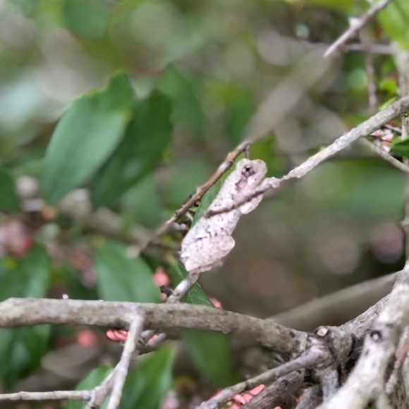 Meet your Posher, Dylan - Picture 1 of 1